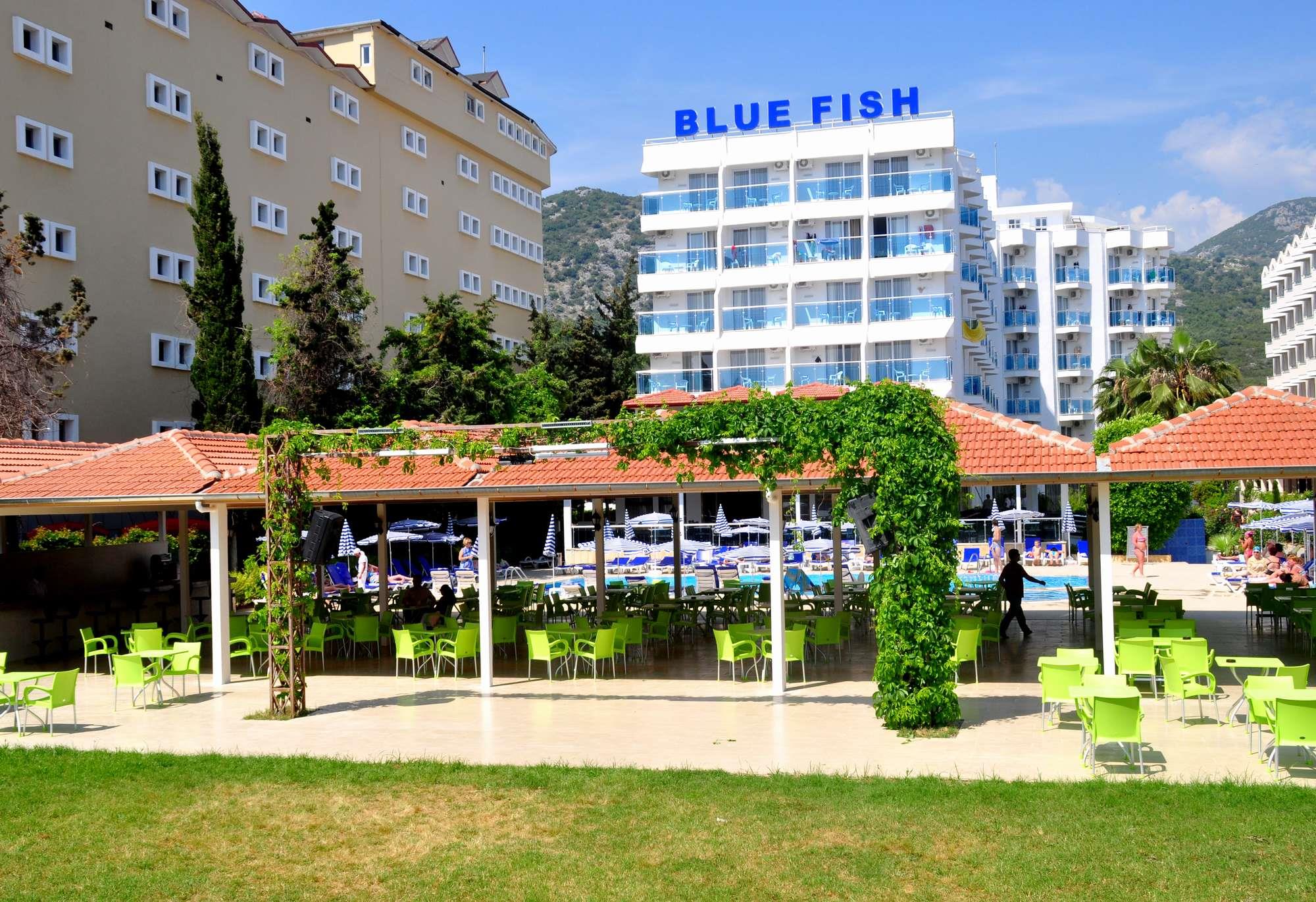 Туры в Blue Fish Hotel