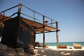 Туры в Papaya Playa Project