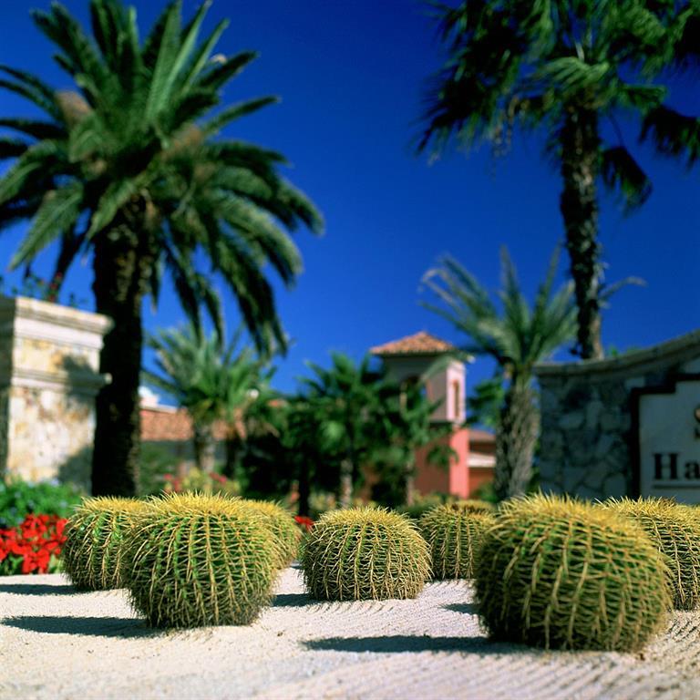 Туры в Sheraton Hacienda del Mar Resort & Spa Los Cabos