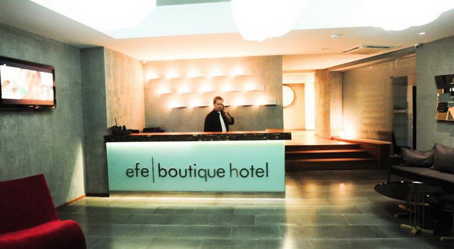 Туры в Efe Boutique Hotel