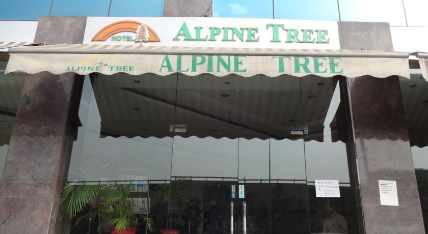 Туры в Hotel Alpine Tree