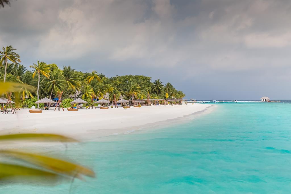 Туры в Kihaa Maldives