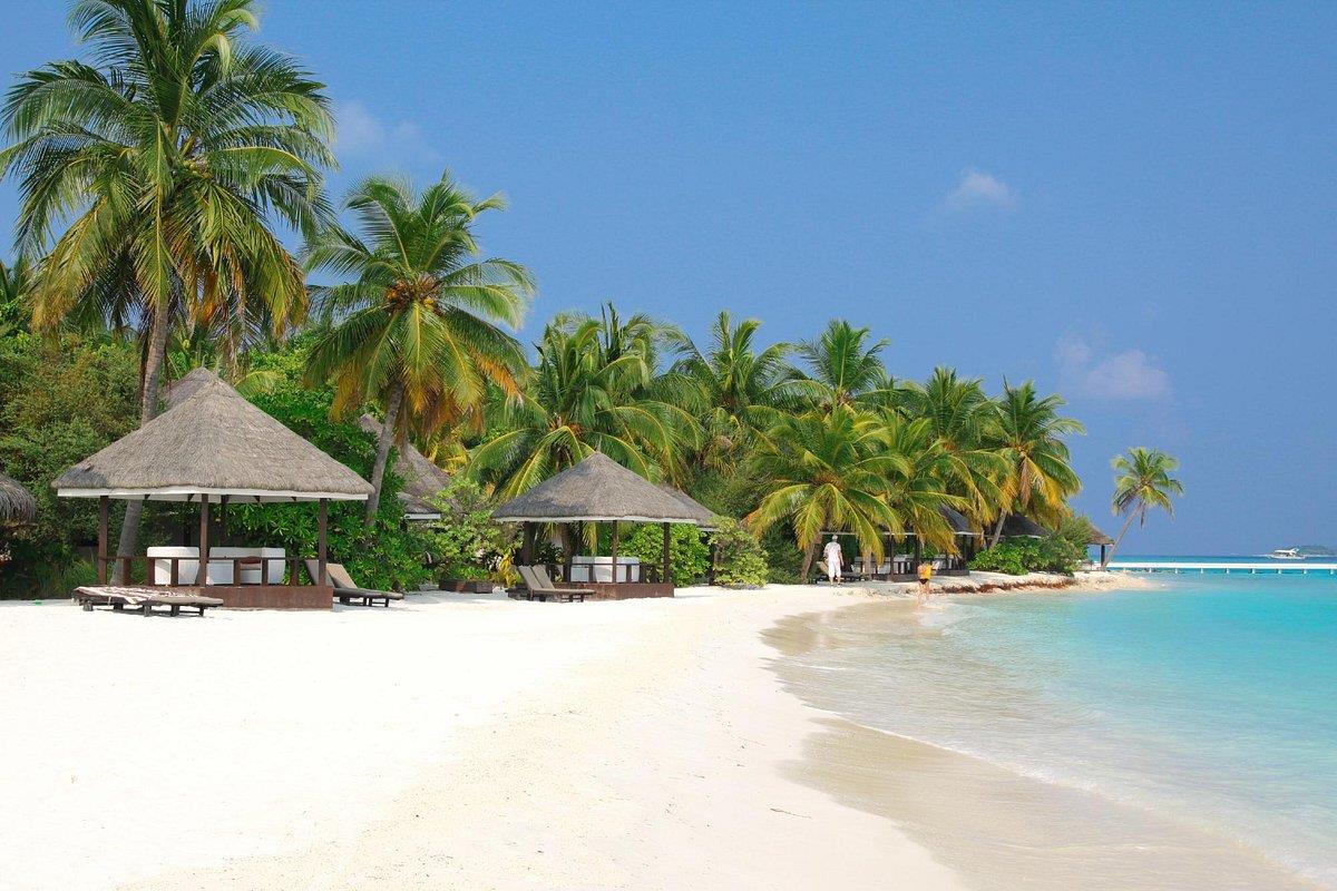 Туры в Kihaa Maldives
