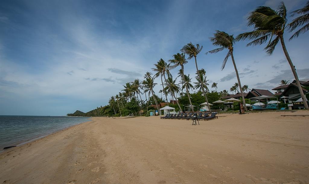 Туры в The Sea Koh Samui Beachfront Resort & Spa