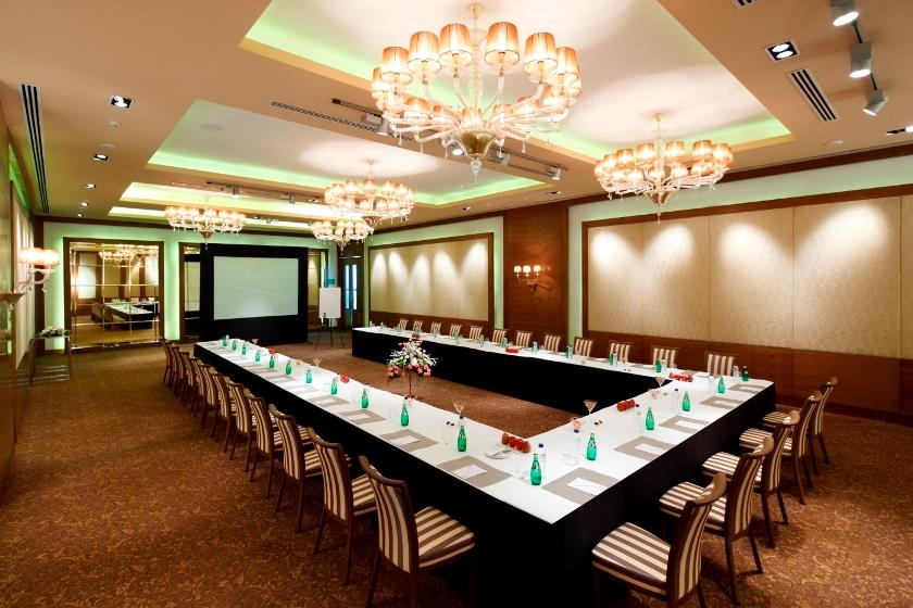Radisson Blu Hotel New Delhi Paschim Vihar 5*