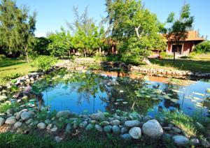 Туры в TTC Resort Premium Ninh Thuan