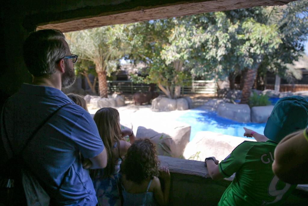 Туры в Emirates Park Zoo & Resort