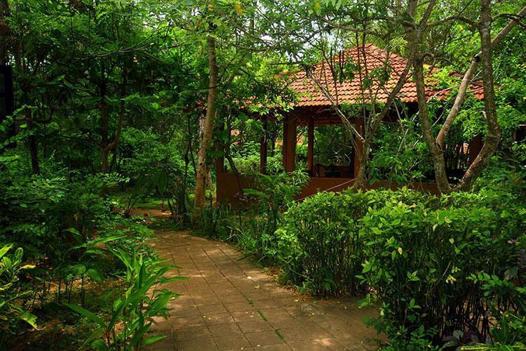 Туры в Nature Lanka Resort