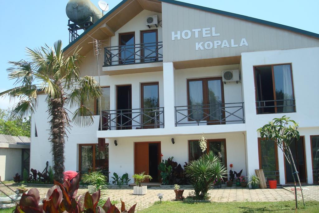 Туры в Hotel Kopala
