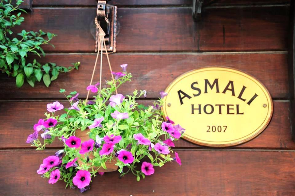 Туры в Asmali Hotel
