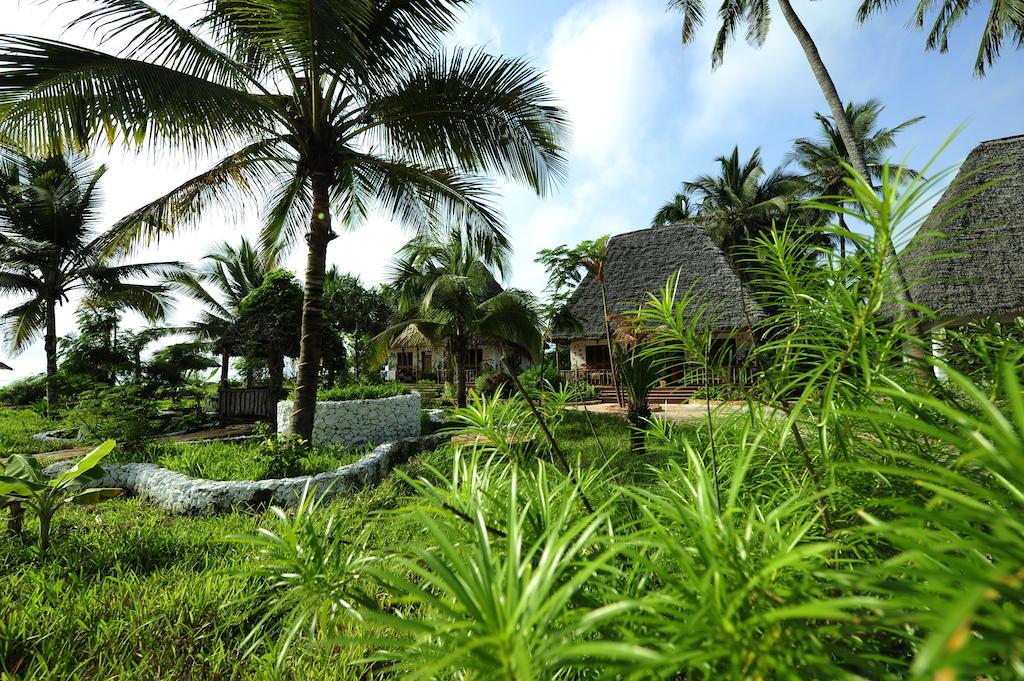 Туры в Waikiki Zanzibar Resort