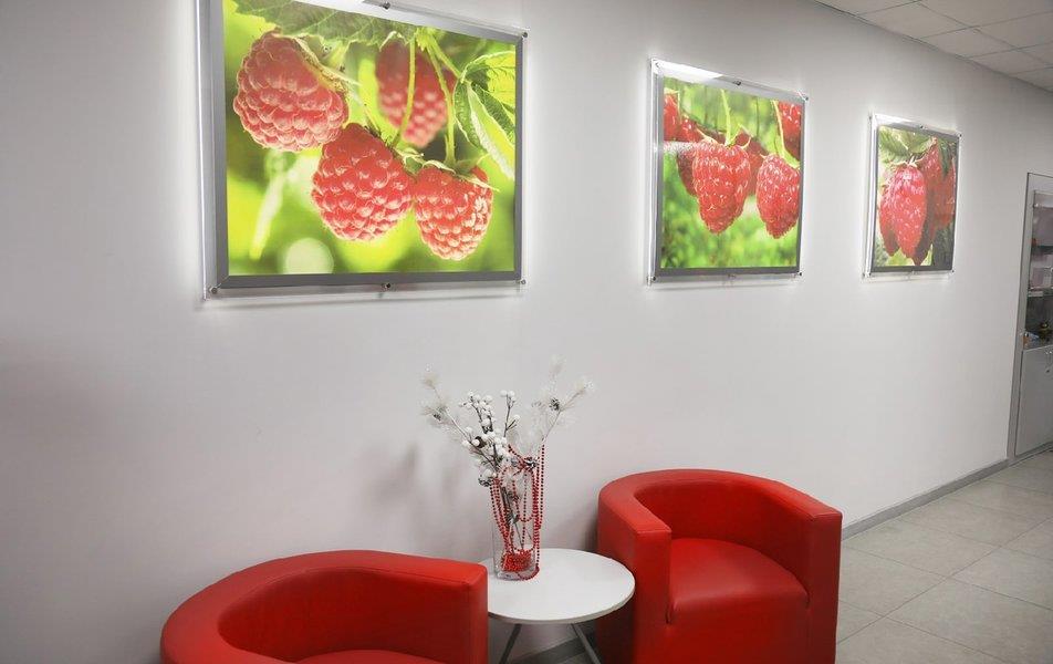 Малиновая Слобода 3*