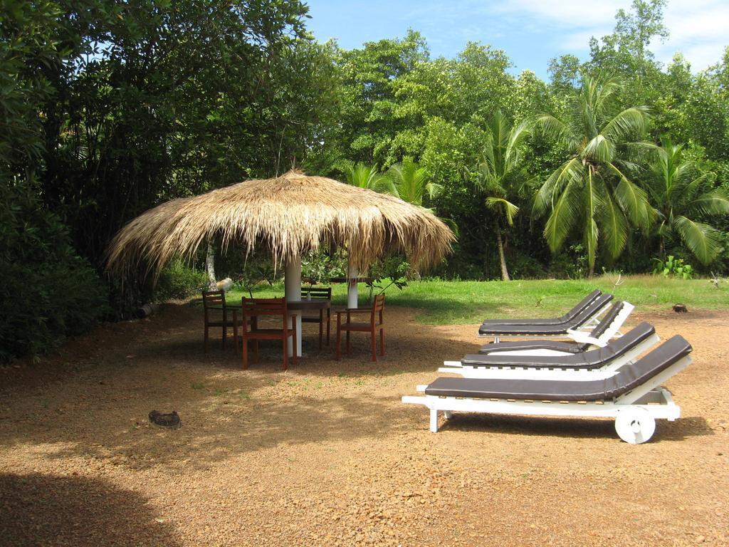 Туры в Mangrove Villa Ayurveda Resort