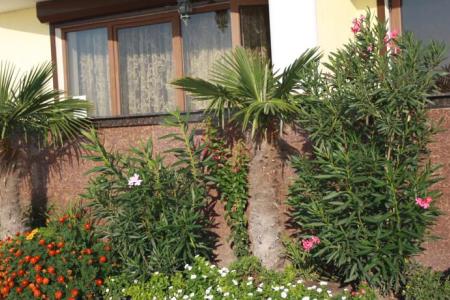 Отель Пансионат Орион в Рыбачье - Россия