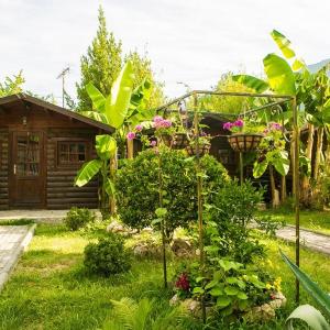 отель Коттеджи в Гагре