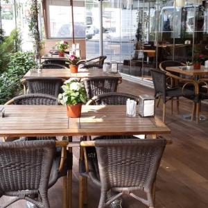 отель Payidar Hotel