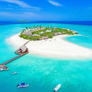 отель Dhigufaru Island Resort