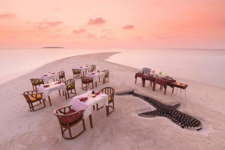 Отель Dhigufaru Island Resort в Баа Атолл - Мальдивы