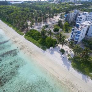 отель The White Harp Beach Hotel