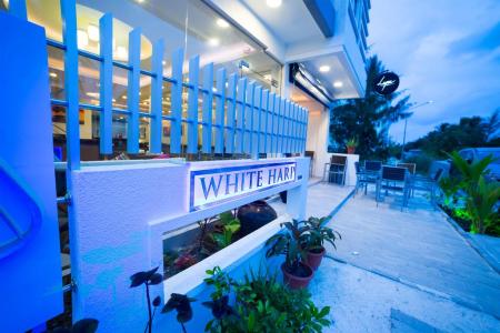 Отель The White Harp Beach Hotel в Мале Атолл (Каафу Атолл) - Мальдивы
