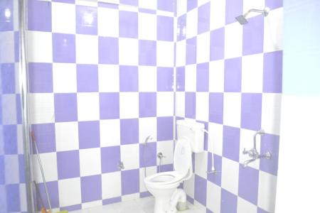 Отель Ivon Guest House в Арамболь - Индия