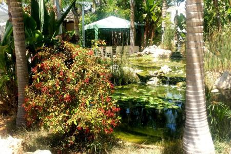 Отель La Casa Di Napa в Айя-Напа - Кипр