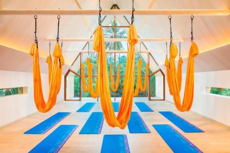 Отель The St. Regis Maldives Vommuli Resort в Даалу Атолл - Мальдивы