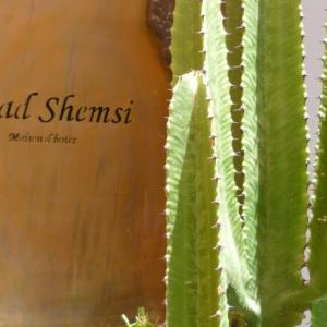 отель Riad Shemsi