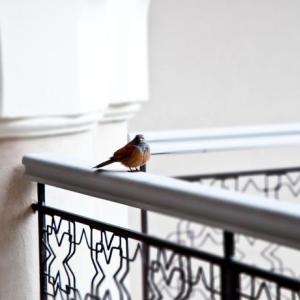 отель Riad Nashira & Spa