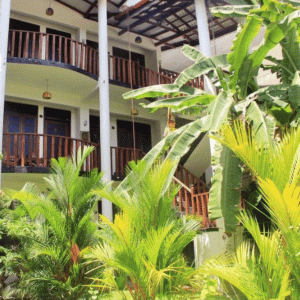 отель Tropicana Guesthouse