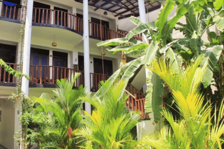 Отель Tropicana Guesthouse в Унаватуна - Шри-Ланка