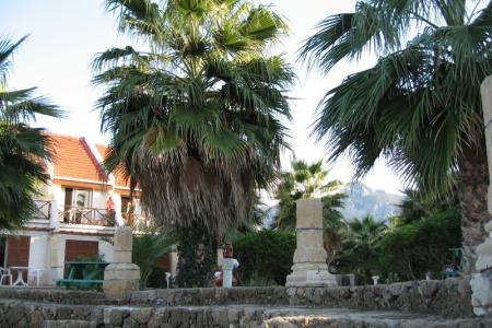 Отель Topset Hotel в Кириния - Кипр