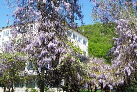 Отель Аврора санаторий (Аше) в Лазаревское - Россия