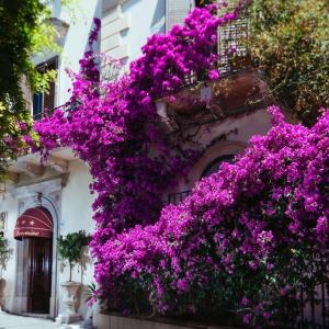 отель Hotel Villa Taormina