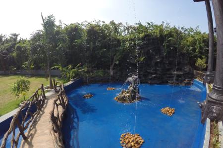 Отель Dhammika Magic Palace в Ваддува - Шри-Ланка