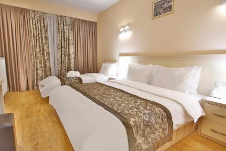 Отель Gudauri Inn в Гудаури - Грузия