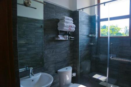 Отель Arena Hotel в Берувела - Шри-Ланка