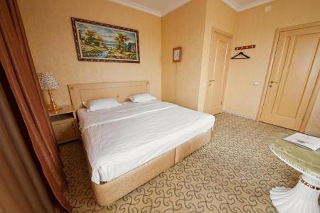 Отель Vnukovo Village Park Hotel & Spa в Москва - Россия