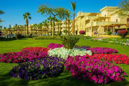 Отель Pickalbatros Palace Resort Hurghada в Хургада - Египет