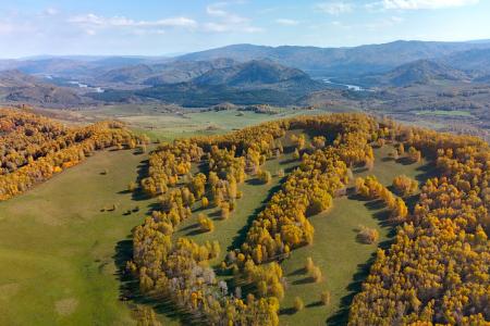 Отель Altai Palace Гостиничный Комплекс в Алтайский край - Россия