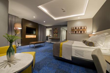 Отель Radisson Blu Hotel Kayseri в Кайсери - Турция