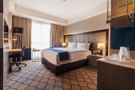 Holiday Inn Kayseri - Duvenonu