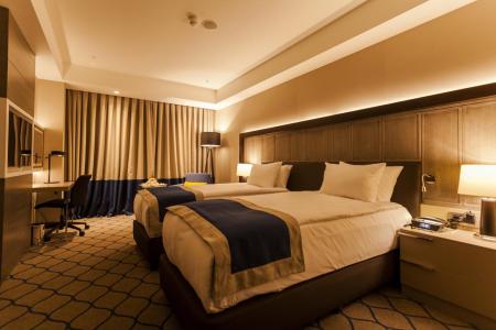 Holiday Inn Kayseri - Duvenonu