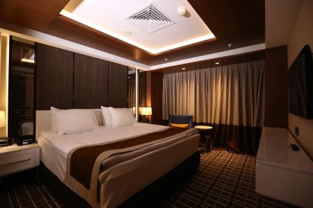 Holiday Inn Kayseri - Duvenonu
