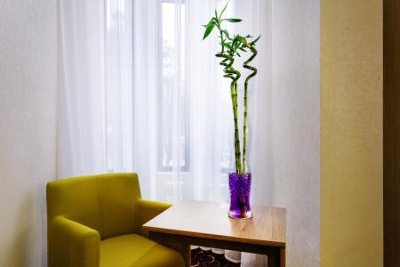 Отель City & Business в Минеральные воды - Россия