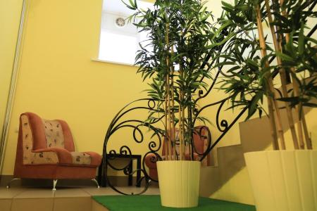 Отель Отель Цветы в Пермь - Россия