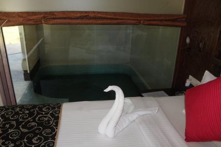 Отель Camelot Fantasy Resort в Бага - Индия