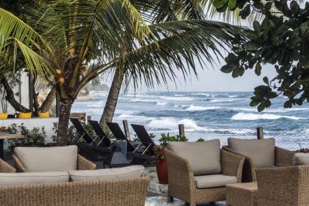 Отель Owl and the Pussycat Hotel в Галле - Шри-Ланка