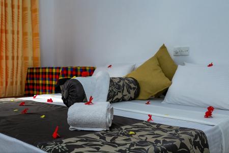 Отель Hansa Surf Hotel в Хиккадува - Шри-Ланка