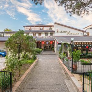 отель Kopala Tskneti